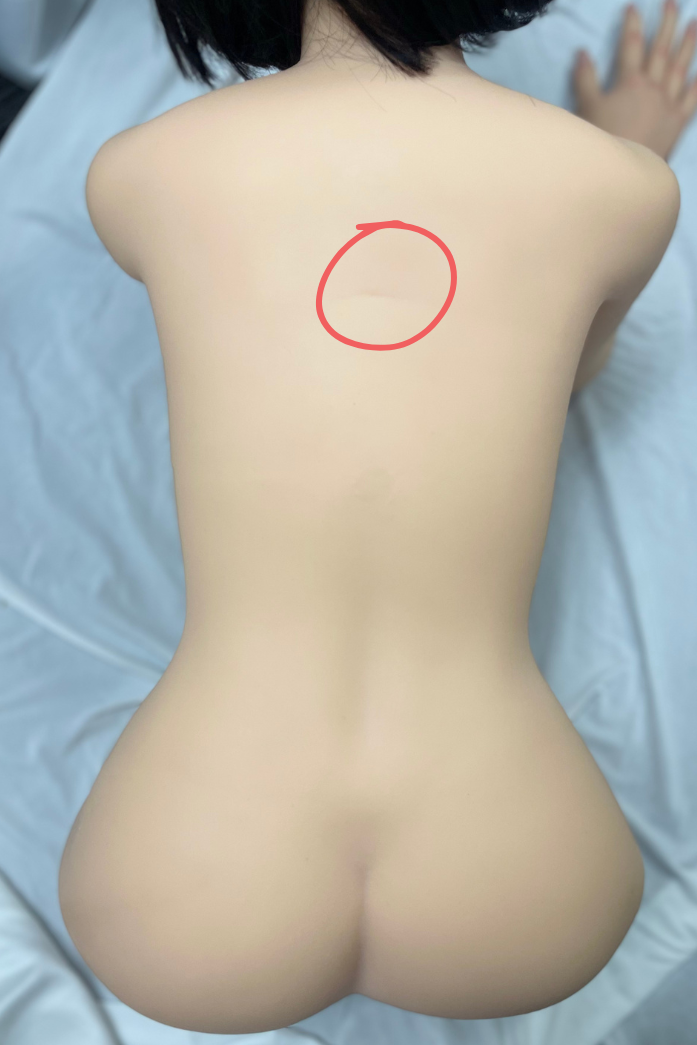 Top-sino 90cmトルソー #T1 局部