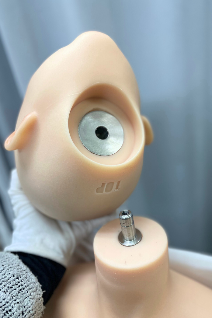 Top-sino 90cmトルソー #T1 局部